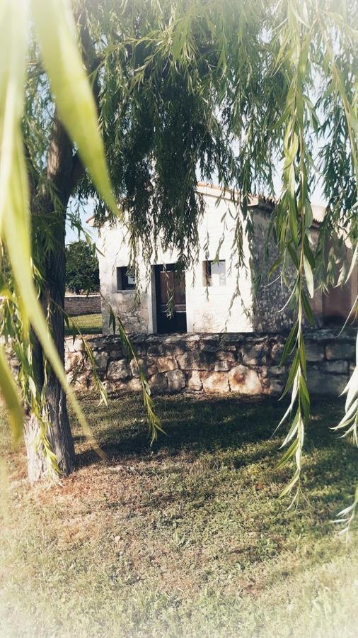 Apartment Complex Jelena フンタナ エクステリア 写真